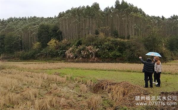 璧山区陈老师带着爱徒寻龙点穴